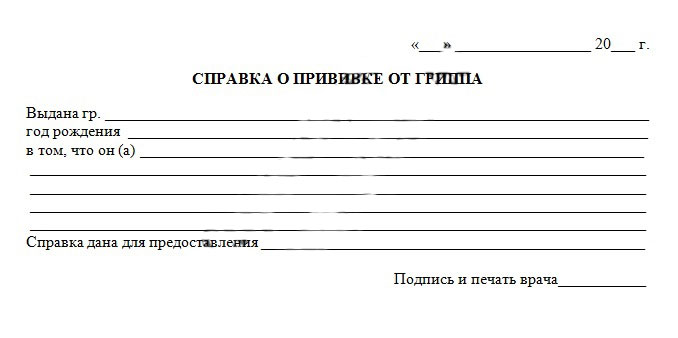 Фото справки