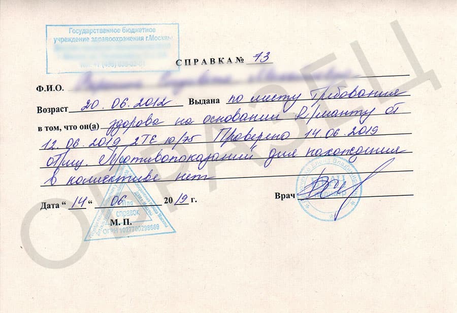 Фото справки