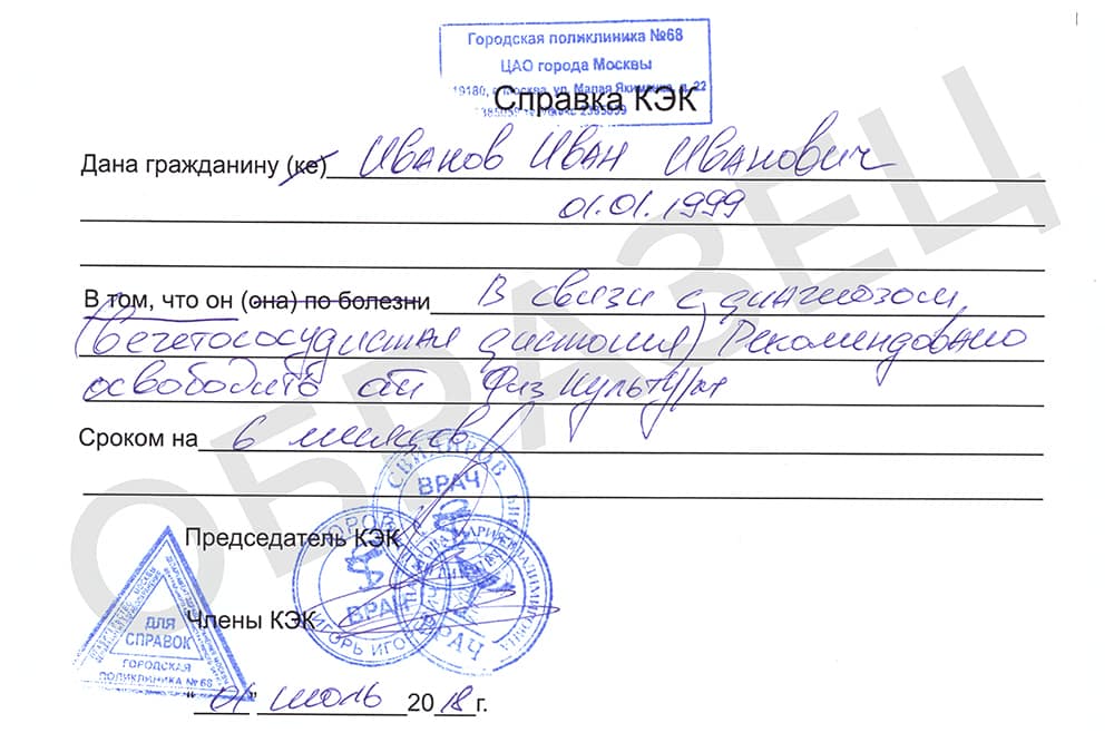 Фото справки